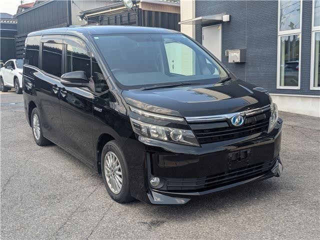 25324735_carP_l_10.jpg