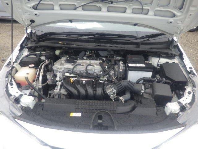 24630417_carP_l_14.jpg