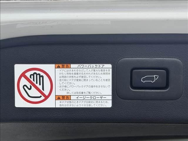 26442098_carP_l_11.jpg