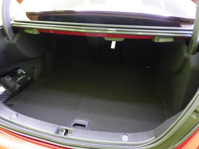 26395342_carP_l_7.jpg
