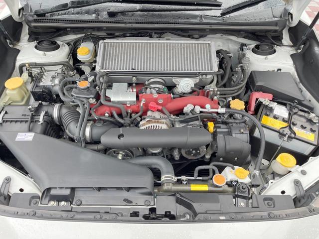 24089766_carP_l_20.jpg