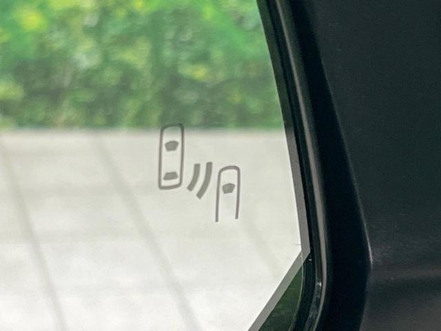 23827189_carP_l_14.jpg