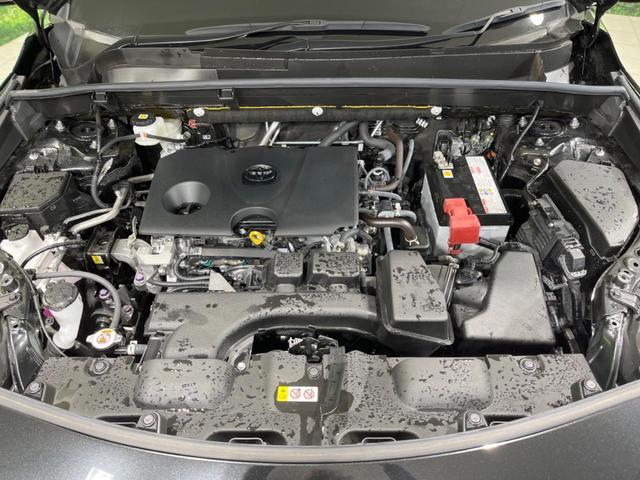 23827189_carP_l_18.jpg