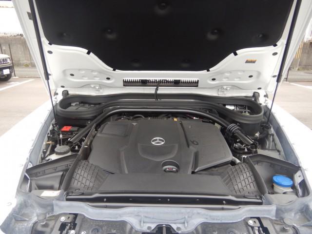 24793168_carP_l_17.jpg