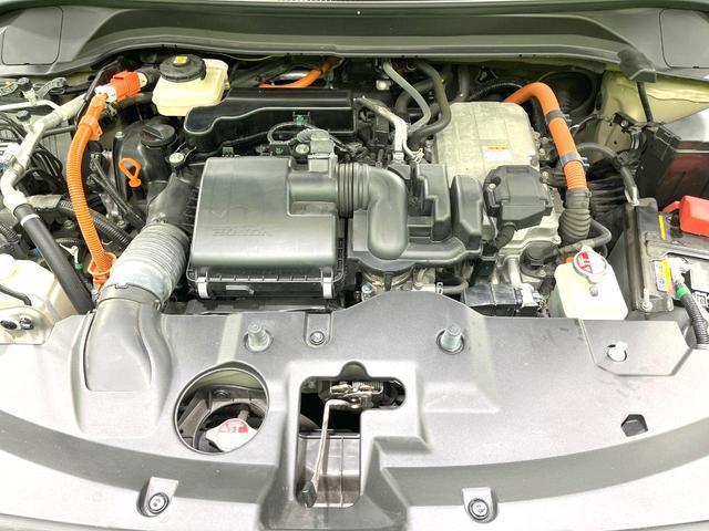 23808558_carP_l_18.jpg