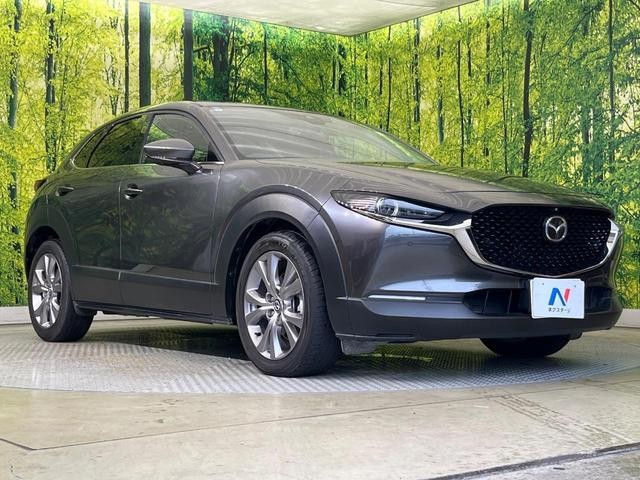 26402015_carP_l_11.jpg