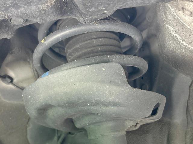 23715880_carP_l_20.jpg