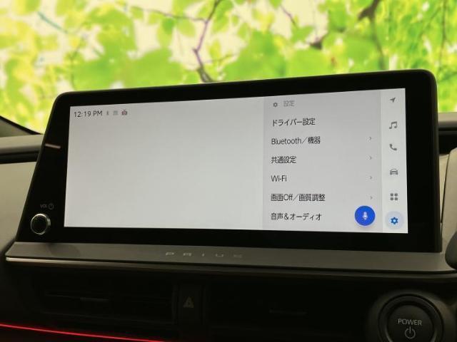 22842019_carP_l_19.jpg