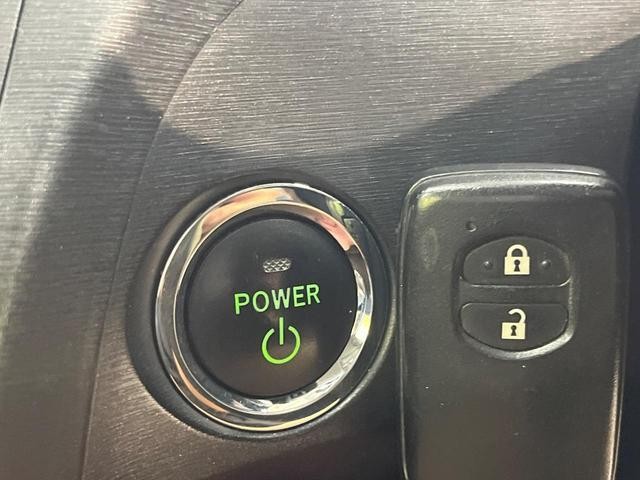 25549138_carP_l_10.jpg