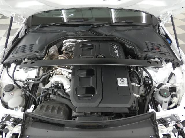 25527001_carP_l_20.jpg