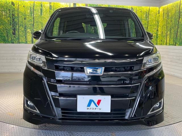 25549139_carP_l_8.jpg