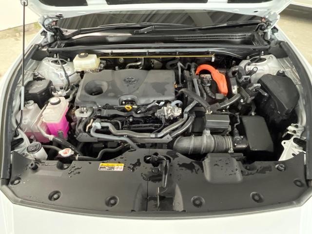 25097046_carP_l_16.jpg