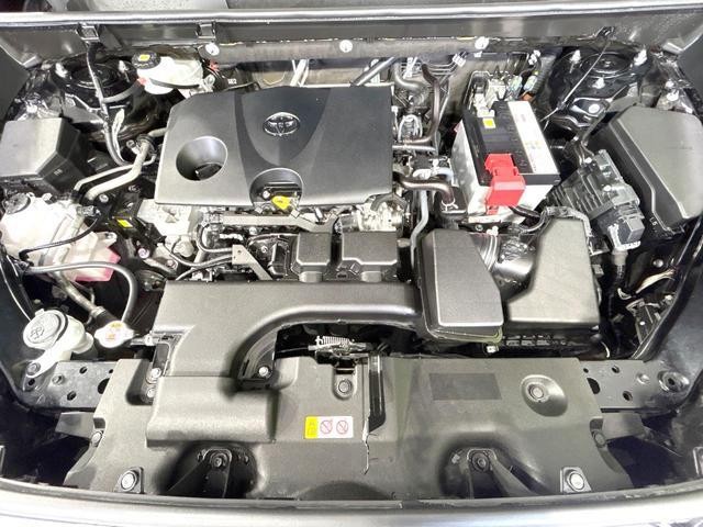 25942813_carP_l_16.jpg