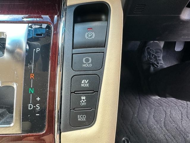 25847654_carP_l_8.jpg