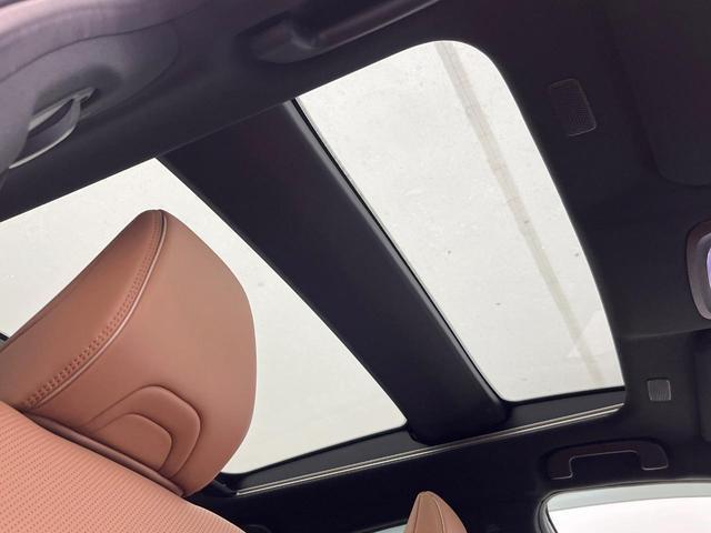 24179426_carP_l_15.jpg