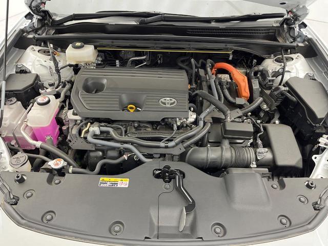 24179426_carP_l_20.jpg