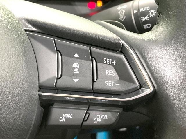 26534313_carP_l_13.jpg