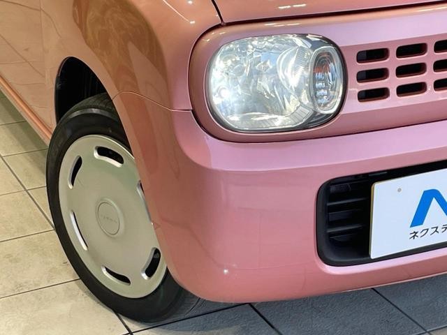25446038_carP_l_6.jpg