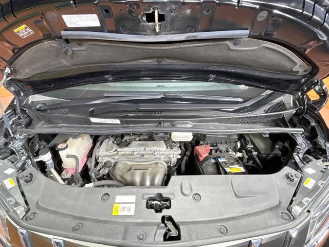 24260255_carP_l_18.jpg