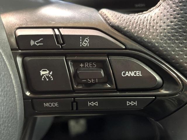 25527045_carP_l_10.jpg