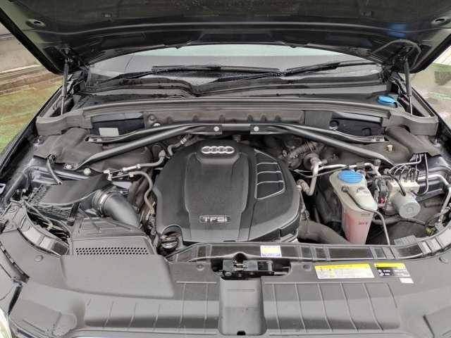 26720730_carP_l_5.jpg
