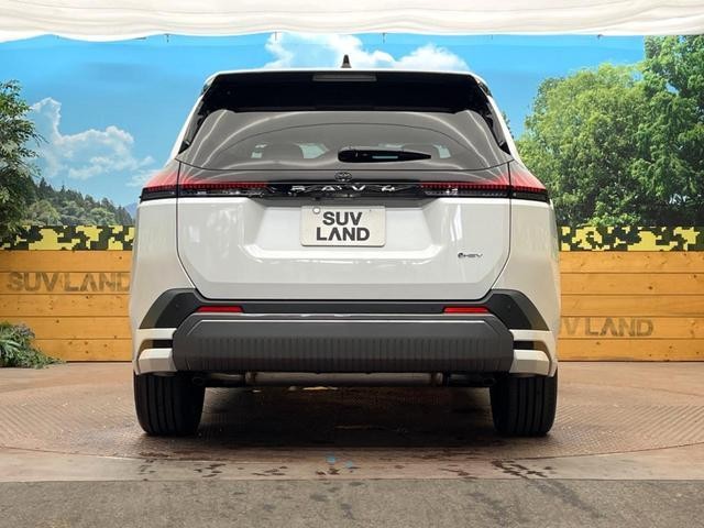 26402636_carP_l_11.jpg