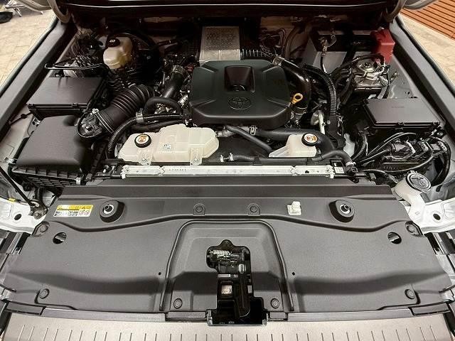 25235703_carP_l_20.jpg