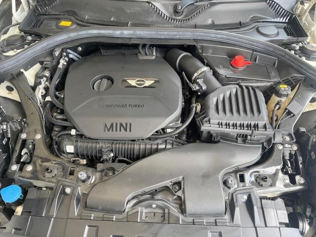 25262109_carP_l_12.jpg