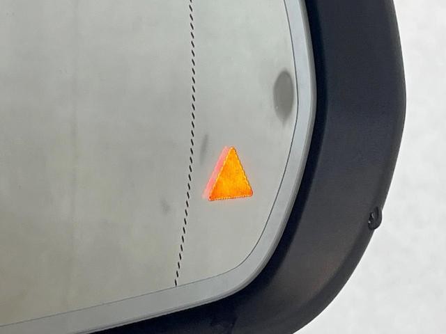 25774142_carP_l_18.jpg