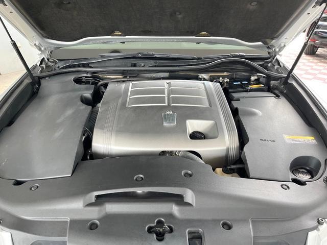 26272425_carP_l_18.jpg
