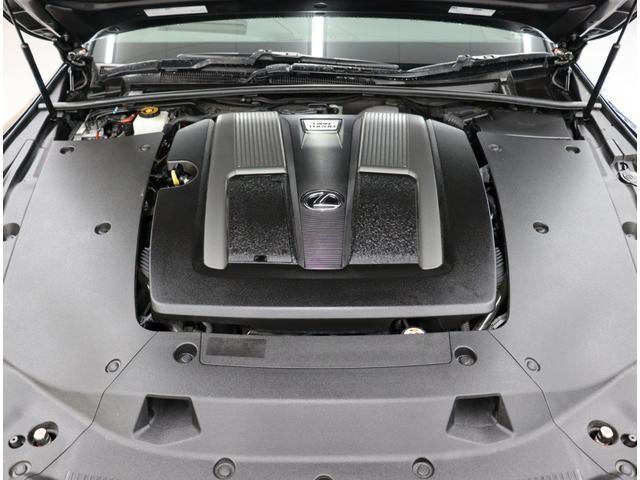 24111122_carP_l_20.jpg