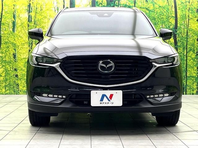 26251701_carP_l_9.jpg