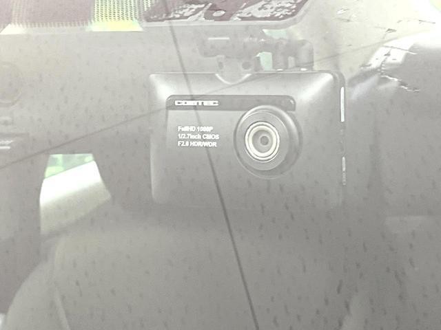 24932328_carP_l_13.jpg