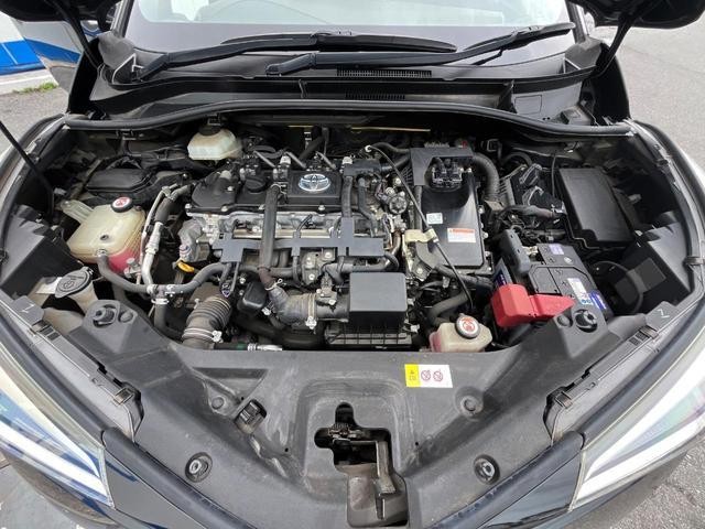 26251710_carP_l_18.jpg