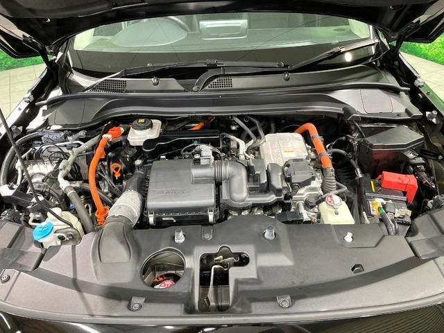 26402879_carP_l_16.jpg