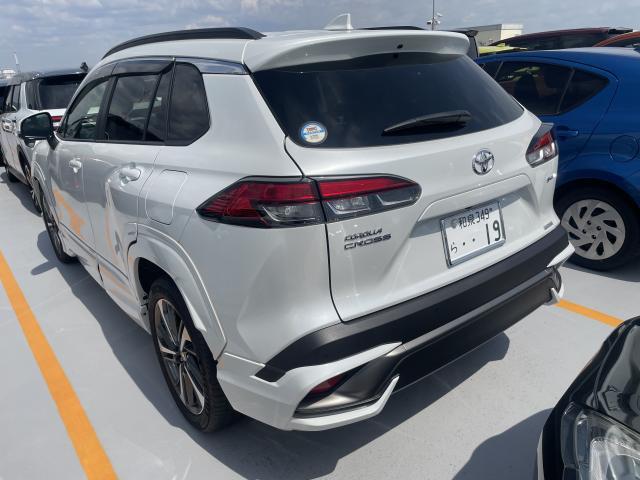 23700459_carP_l_3.jpg