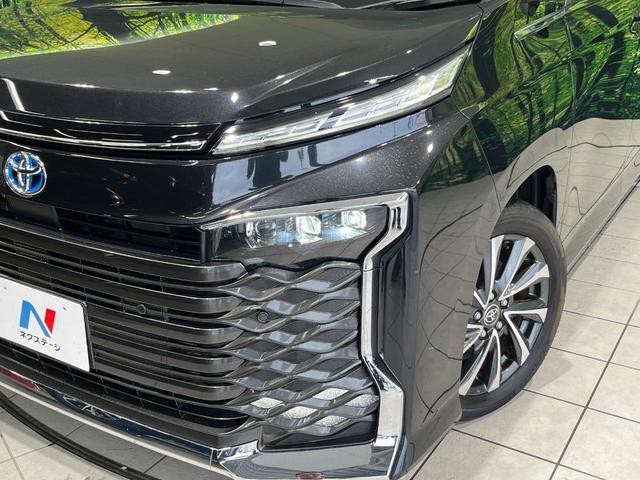 26251835_carP_l_8.jpg
