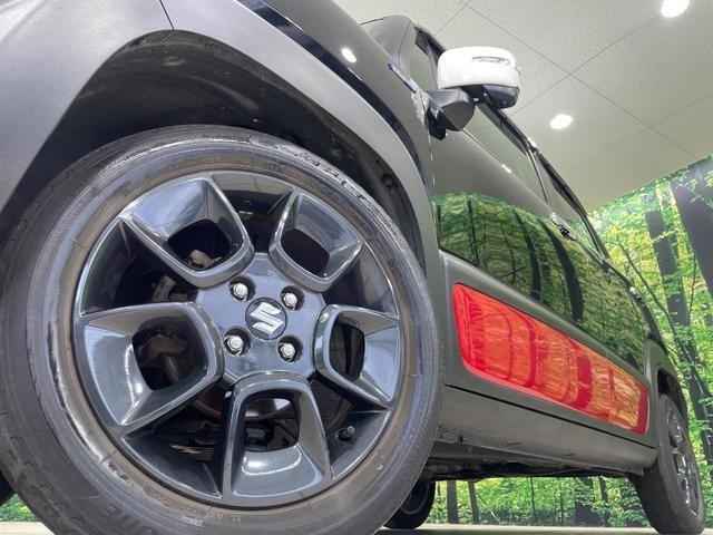 26252125_carP_l_7.jpg