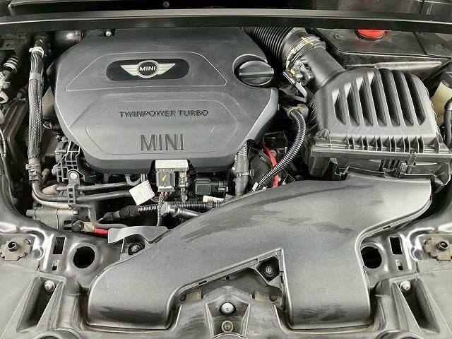 24802564_carP_l_16.jpg
