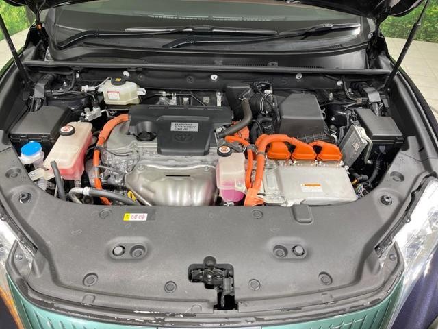 26402944_carP_l_16.jpg