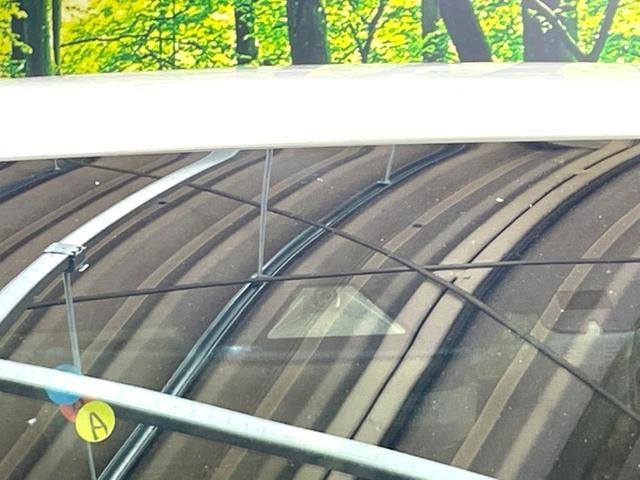 25612330_carP_l_19.jpg