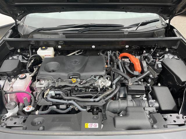 24400685_carP_l_16.jpg