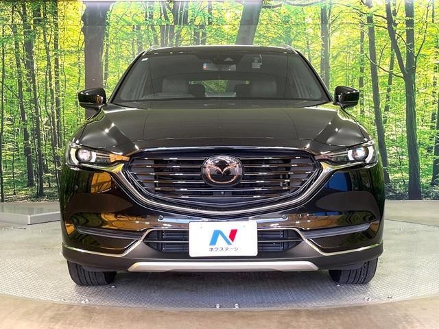 26043273_carP_l_8.jpg