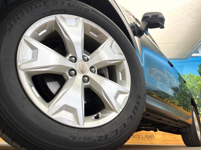 24746892_carP_l_7.jpg