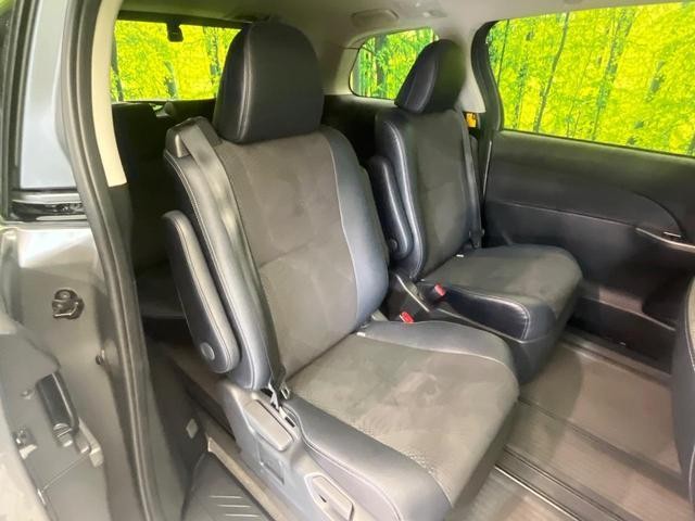 26924736_carP_l_19.jpg