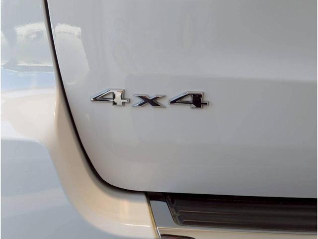 24111255_carP_l_14.jpg