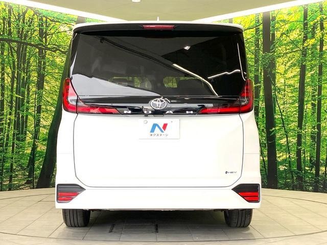 26623539_carP_l_11.jpg