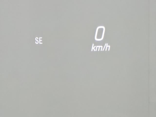 910726fa61f7556457122dc595a83333.jpeg