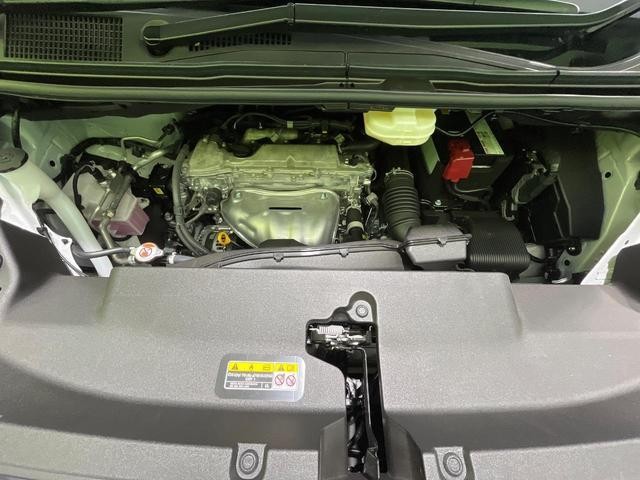 25384487_carP_l_16.jpg