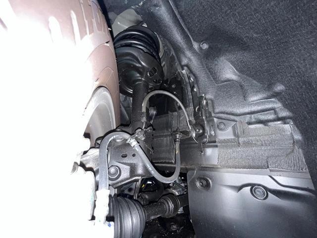 25384487_carP_l_20.jpg